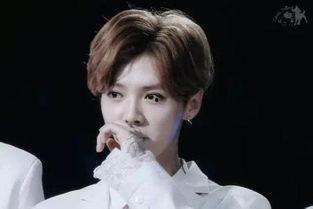 董子健爆料鹿晗原因视频,背后真相令人震惊  第2张