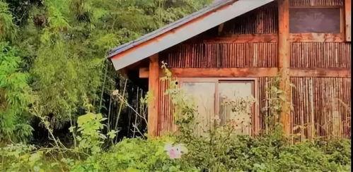 免费吃瓜群小木屋,揭秘网络社交新趋势  第2张