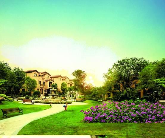 长沙碧桂园最新爆料,揭秘未来生态宜居新篇章 第1张 长沙碧桂园最新爆料,揭秘未来生态宜居新篇章 第1张